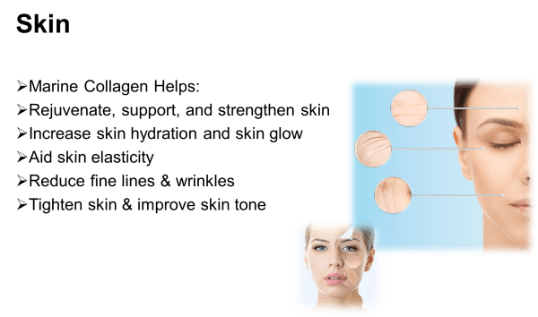 Marine Collagen Peptide - Image 15